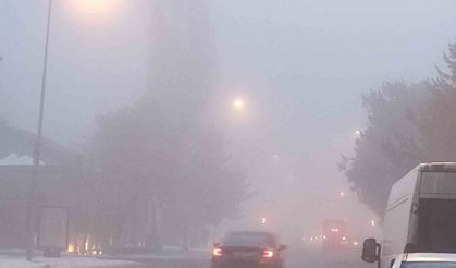 Ardahan’da yoğun sis görüş mesafesini 20 metreye kadar düşürdü