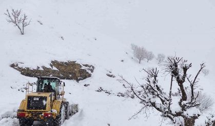 Batman’da kar yağışı nedeniyle kapanan köy yolları ulaşıma açıldı