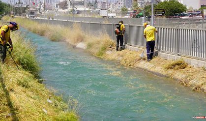 Tarsus Belediyesi’nden Hal Yolu ve Ana Caddelerde Yoğun Temizlik Mesaisi