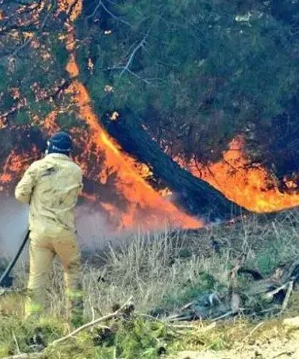 Tarım Bakanı Yumaklı: Orman Yangınları Kontrol Altında, Çanakkale’de Mücadele Sürüyor