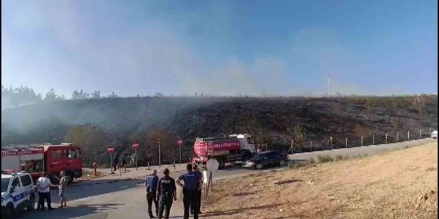 Gençlerin tehlikeli oyunu ormanı yakacaktı
