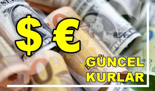 Erzincan 14 Kasım 2023 dolar - euro kuru