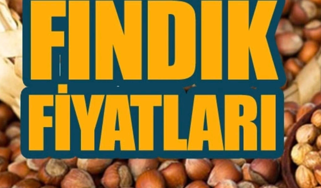 Fındık Fiyatlarında Son Durum!