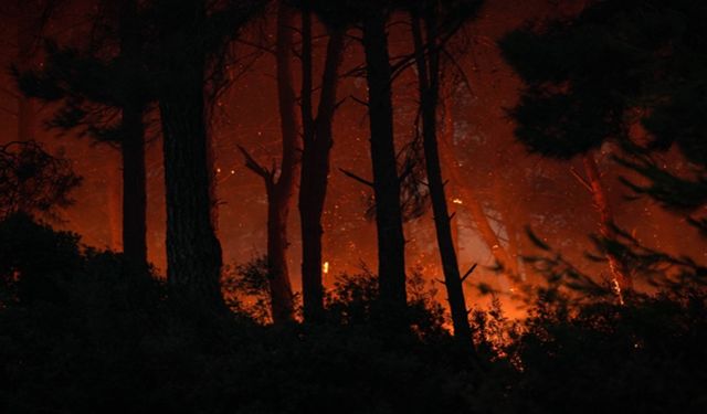 İzmir'de çıkan yangın kontrol altına alınamıyor! Bir mahalle tahliye edildi