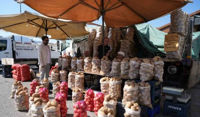 Erzincan Çayırlı'da Patates Üreticileri Düşük Fiyatlardan Memnun Değil