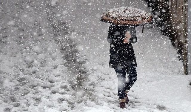 Erzurum ve Kars'a İlk Kar Düştü!