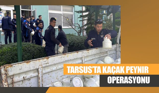 Tarsus’ta Kaçak Peynir Operasyonu