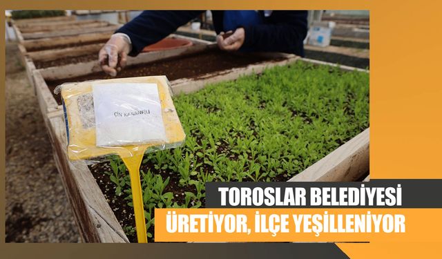 Toroslar Belediyesi Üretiyor, İlçe Yeşilleniyor!
