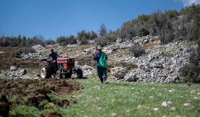 Gülnarlı Üreticiler, Büyükşehir’in Destekleriyle Ekmeğini Topraktan Kazanıyor