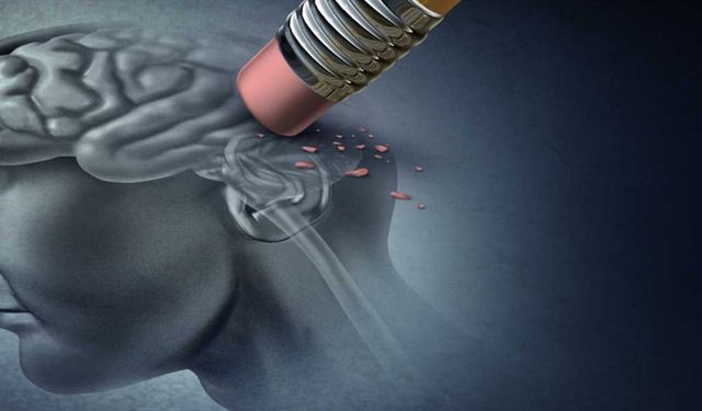 Tatil dönemlerinde Alzheimer ve demans belirtileri daha net ortaya çıktı...