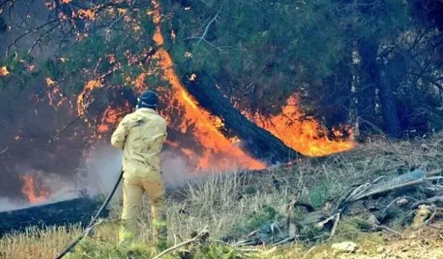 Tarım Bakanı Yumaklı: Orman Yangınları Kontrol Altında, Çanakkale’de Mücadele Sürüyor