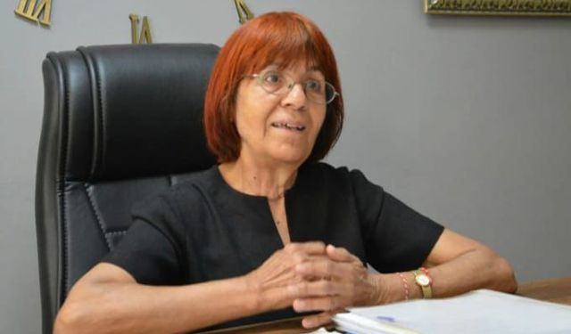 HAKDEM Başkanı Elbirliler: “Sarıalan Hayvanlar İçin Tehlikeli Bir Projedir”