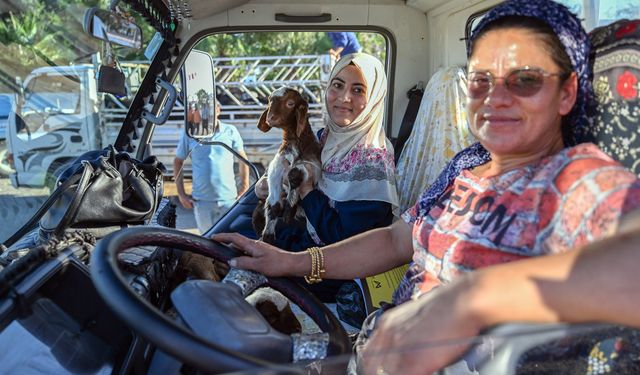 “Hadi Gel Köyümüze Destek Verelim” Projesiyle Mersinli Üreticinin Yüzü Gülüyor