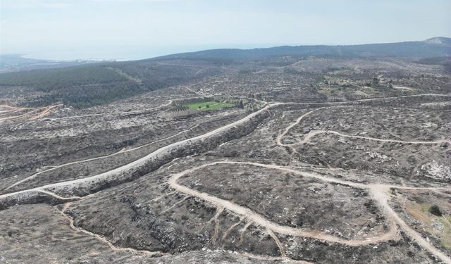 Silifke’de Küllerinden Doğuş