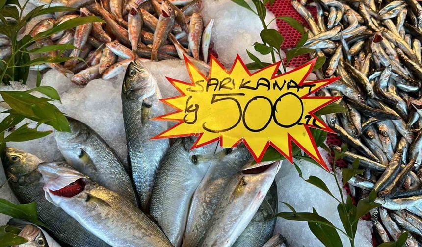 Balık çeşidi az olunca fiyatlar yükseldi