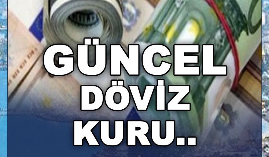 Erzincan Dolar Kuru Bugün Ne Kadar? 1 Dolar Kaç TL?