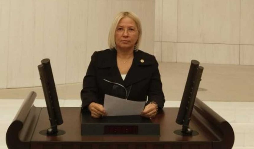 CHP’li Yontar Meclis’te kamuda tasarruf paketi üzerine söz aldı