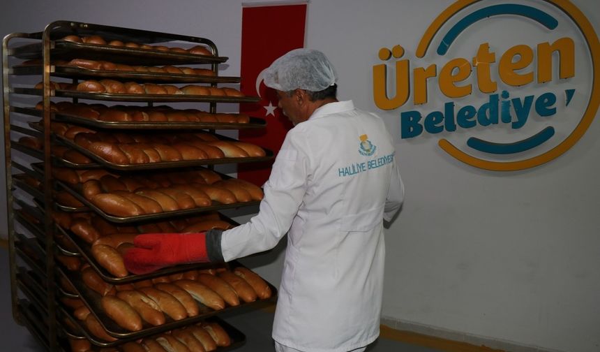 Haliliye Belediyesi ürettiği ekmekleri sofralara ulaştırıyor   - Videolu Haber