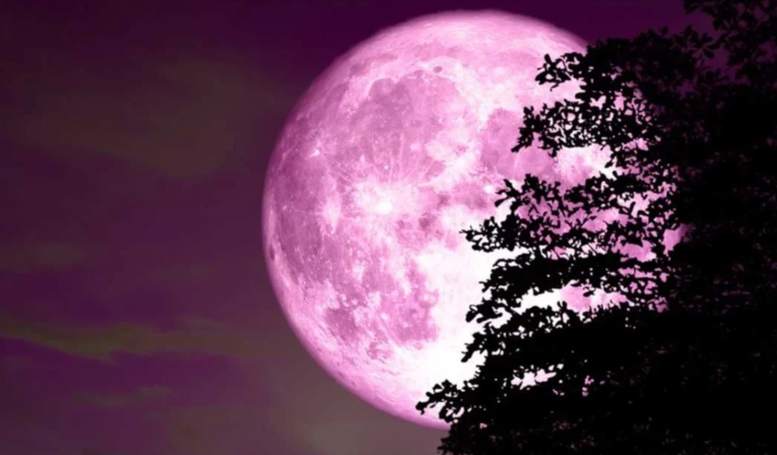 Pembe Ay Geri Dönüyor! 2025’in En Parlak Dolunayı Ne Zaman Görülecek?