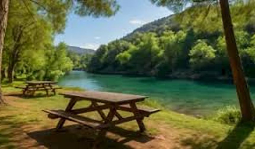 Mersin'de Bulunan En İyi Piknik Alanları