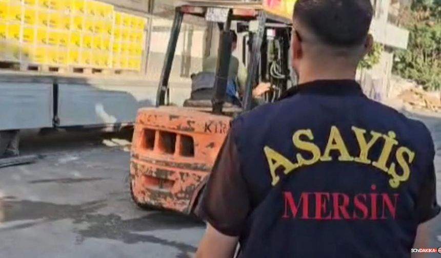 Mersin'de Nakliye Dolandırıcılarına Şafak Operasyonu
