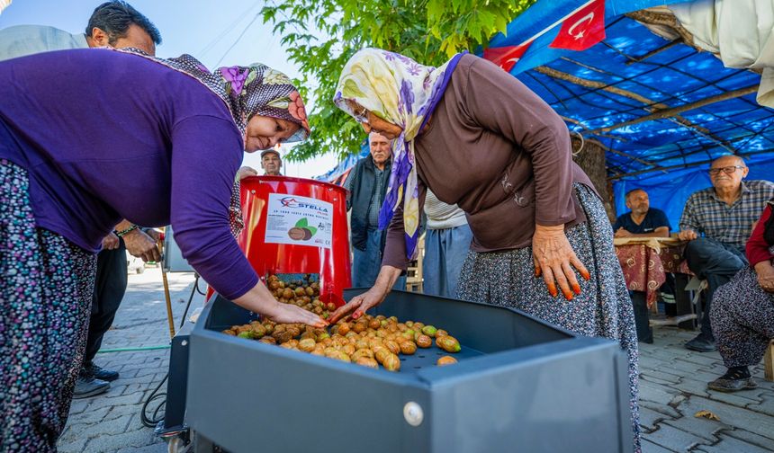 Mersin Büyükşehir’den Üreticilere “Ceviz Soyma Makinesi” Desteği