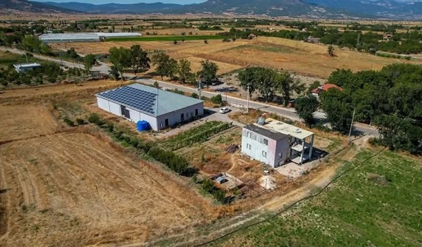 Levent Akyüz: Urfa’nın İş Dünyasından Siyasete Uzanan Parlayan Yıldızı