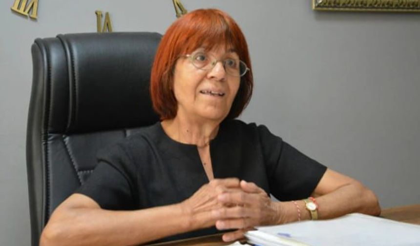 HAKDEM Başkanı Elbirliler: “Sarıalan Hayvanlar İçin Tehlikeli Bir Projedir”