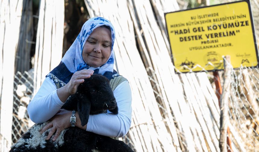Kuzular Çoğaldı Köyde Yüzler Gülmeye Başladı