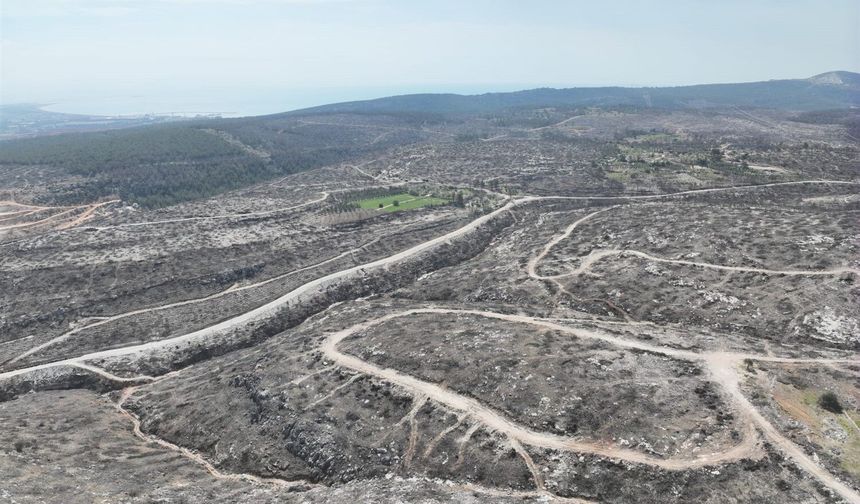 Silifke’de Küllerinden Doğuş