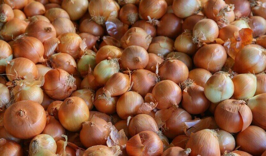 Kuru Soğan İthalatında Yüzde 5 Gümrük Vergisi Uzatıldı