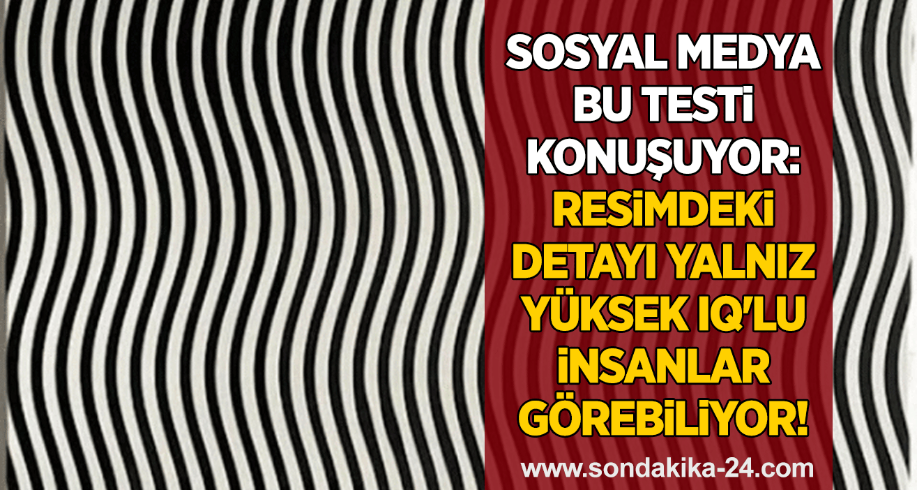 Sosyal medya bu testi konuşuyor: Resimdeki detayı yalnız yüksek IQ'lu insanlar görebiliyor!