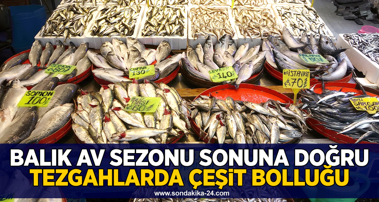 Balık av sezonu sonuna doğru tezgahlarda çeşit bolluğu