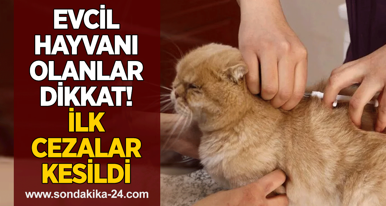 Evcil hayvanı olanlar dikkat! İlk cezalar kesildi