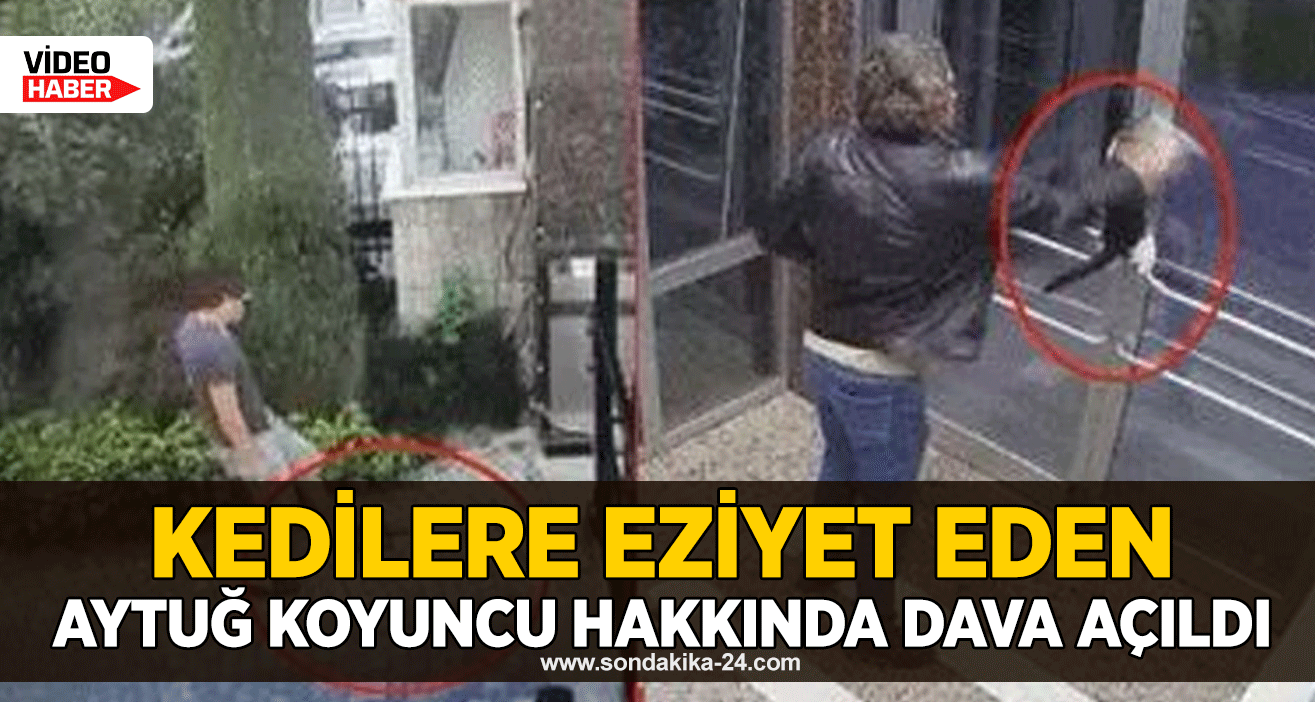 Kedilere eziyet eden Aytuğ Koyuncu hakkında dava açıldı