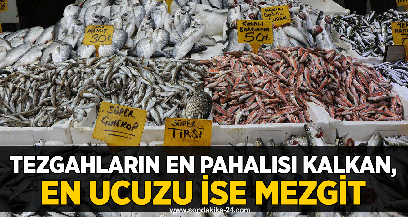 Tezgahların en pahalısı kalkan, en ucuzu ise mezgit