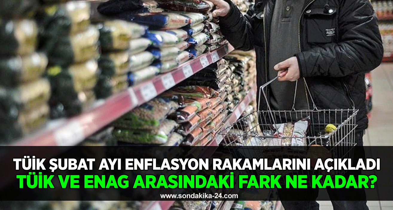 TÜİK şubat ayı enflasyon rakamlarını açıkladı TÜİK ve ENAG arasındaki fark ne kadar?