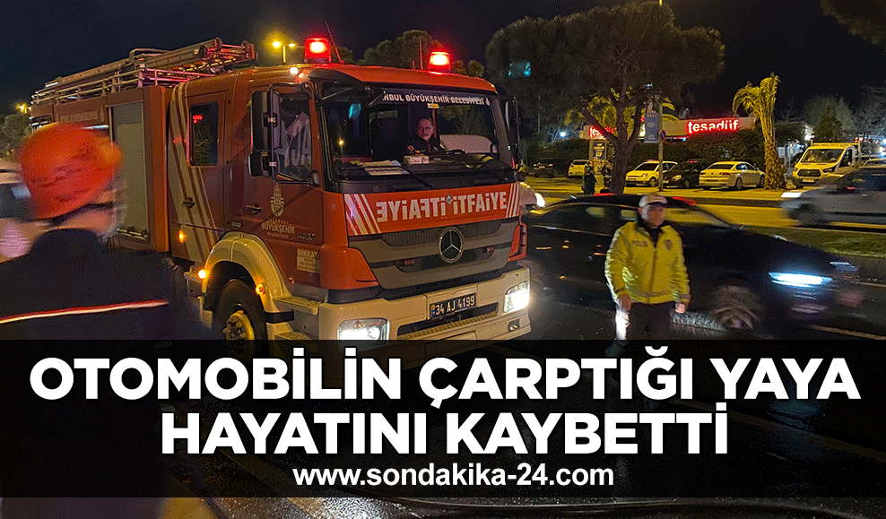 Maltepe sahilde otomobilin çarptığı yaya hayatını kaybetti