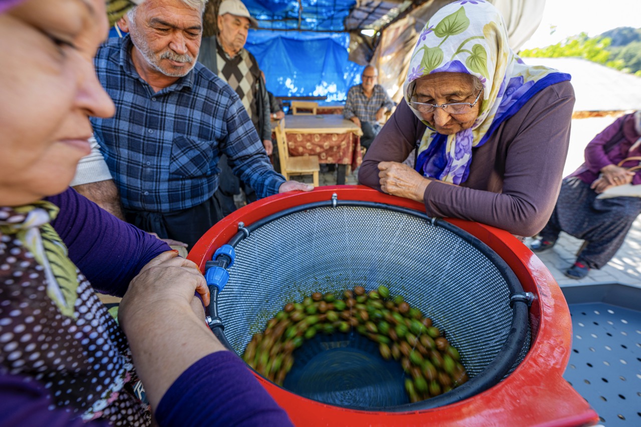 Büyük Mersi̇n Büyükşehi̇r’den Çi̇ftçi̇lere “Cevi̇z Soyma Maki̇nesi̇” Desteği̇ (4)