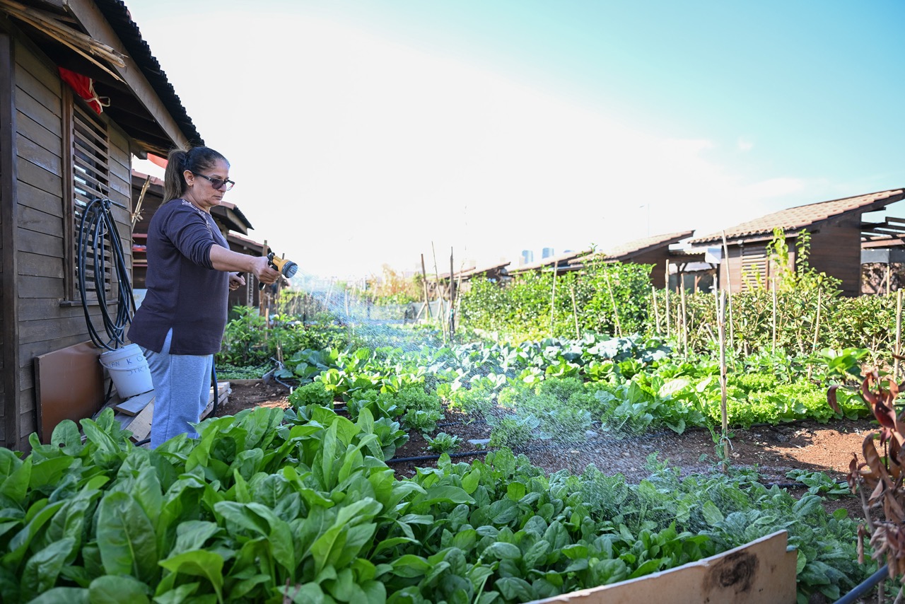 Büyük Büyükşehi̇r Hobi̇ Parki’nda Kiş Hazirliklari Tamamlandi (3)