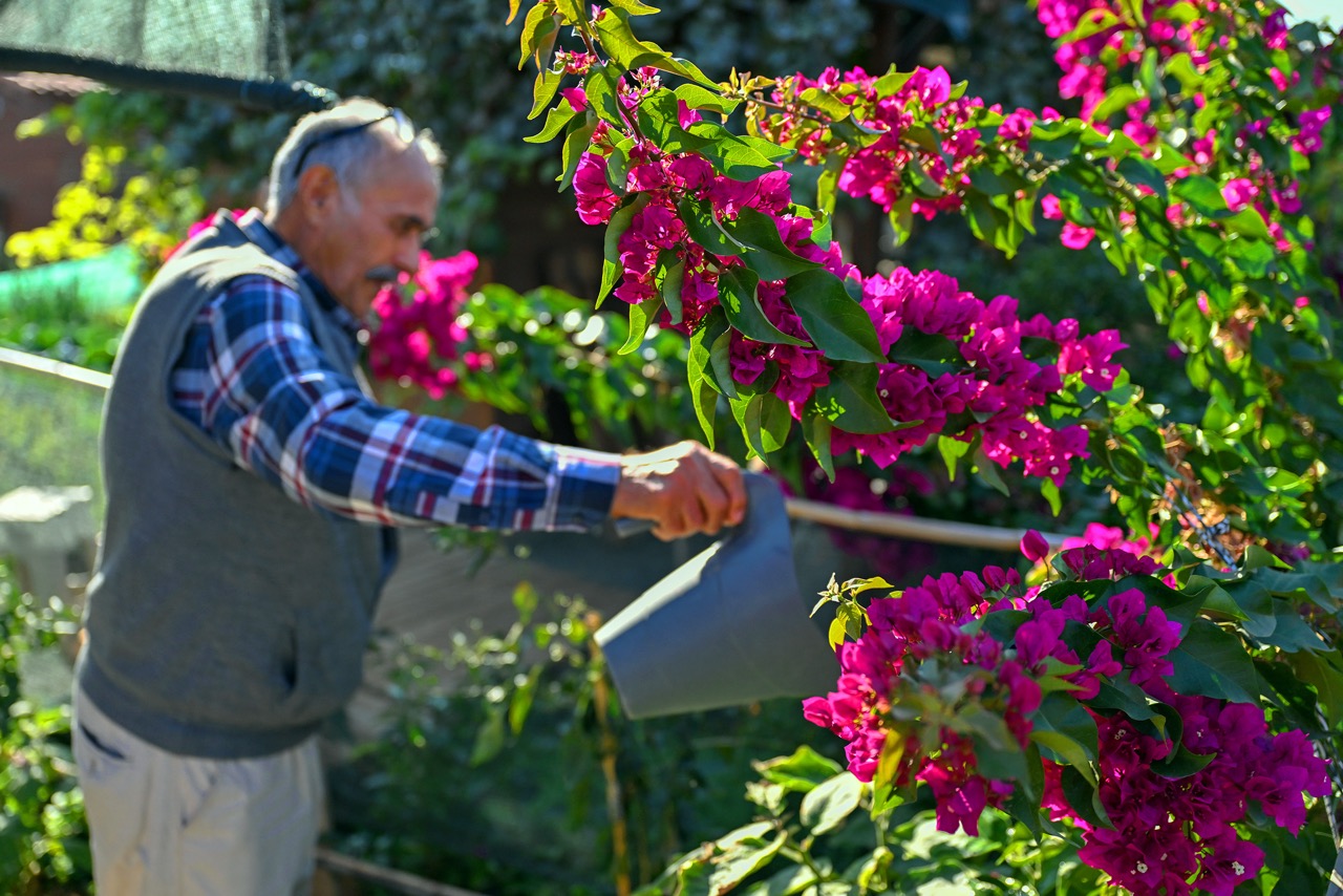 Büyük Büyükşehi̇r Hobi̇ Parki’nda Kiş Hazirliklari Tamamlandi (5)