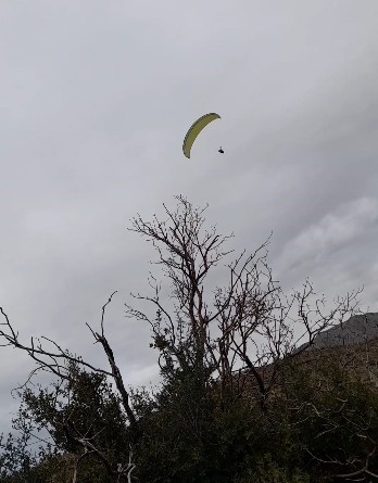 615930230 1485231580268928 7050677153476926664 N