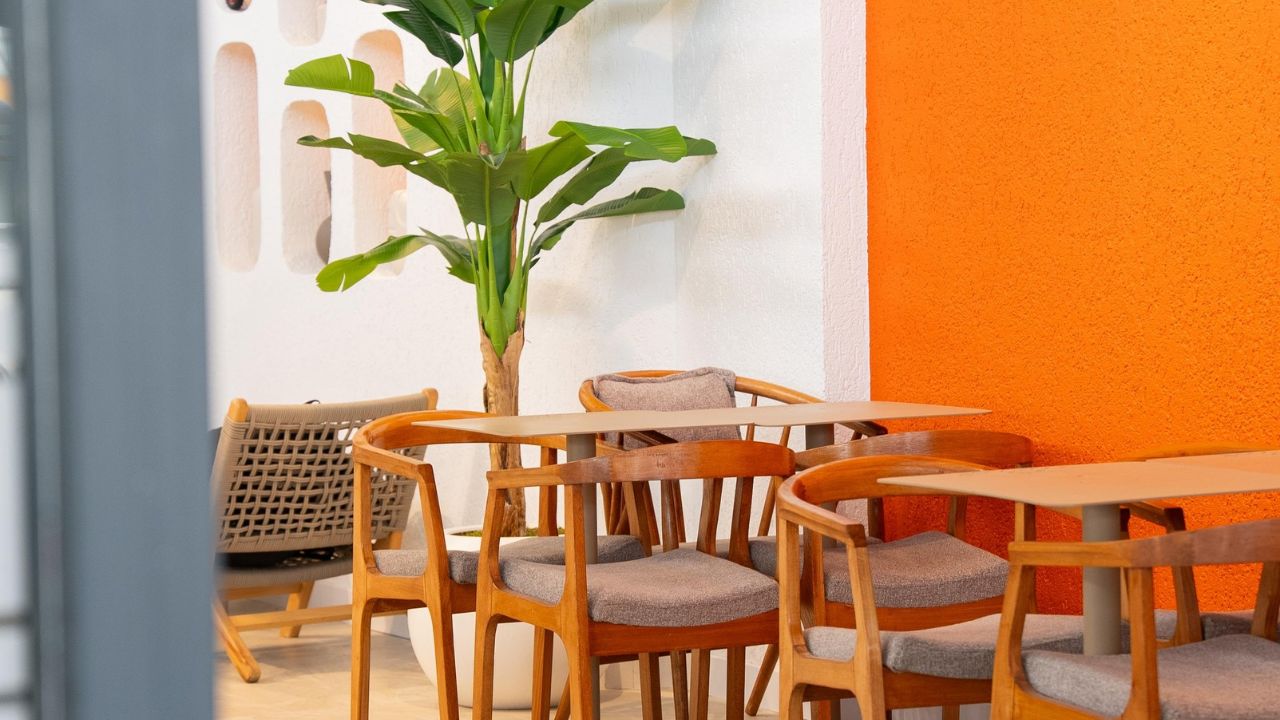 Whatsapp Image 2026 02 13 At 17.30.34 (1)