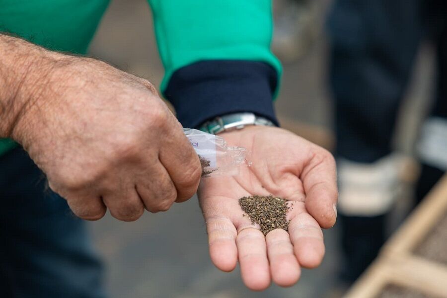 Yenişehir’de ‘Ekolojik Tarım’ Hamlesi (1)